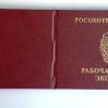 Бланк "Рабочая книжка эксперта"