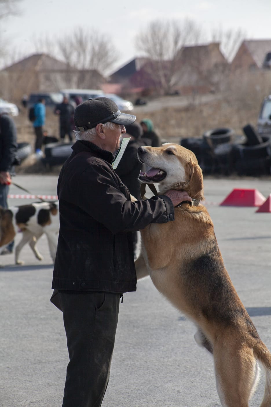 55-я Тюменская областная выставка охотничьих собак